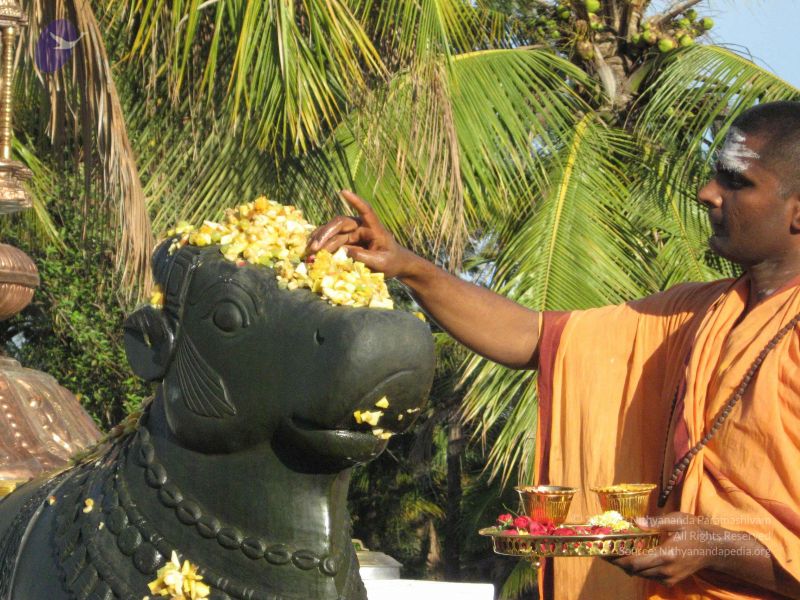 File:20080305 Photo 1034 1rSmxBjGqyUF-sSBRbjv7ctMz5T0DMpdx.JPG