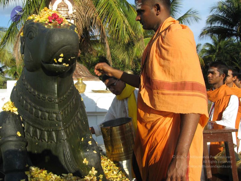 File:20080305 Photo 1039 1tuebG4q7zqrsaHD wvgPyTzqAMgndNmo.JPG