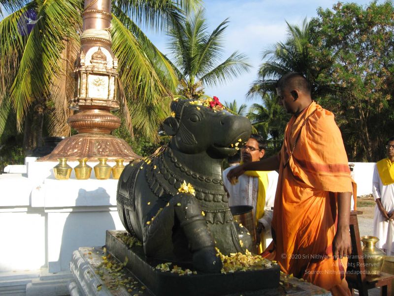 File:20080305 Photo 1040 1t8 bYe1l r5MKBtcigT1NLwbNk7LEnRv.JPG