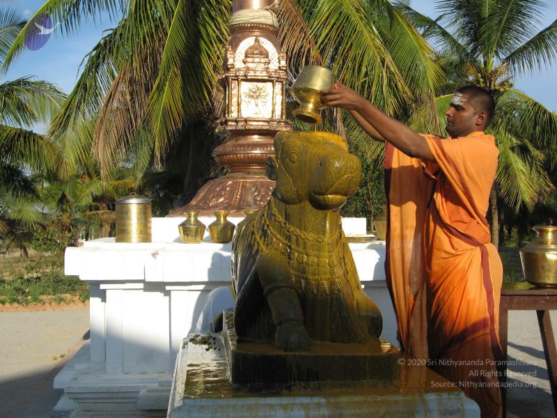 File:20080305 Photo 1046 1HvnDR1jX19tRv7NzYsqtwstJe8dJWwlT.JPG