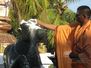 20080305 Photo 1055 1it5tU2DYYSCMIbxueGJwr9Pb1YJKPnuf.JPG