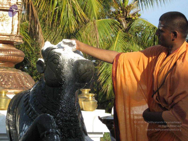 File:20080305 Photo 1055 1it5tU2DYYSCMIbxueGJwr9Pb1YJKPnuf.JPG