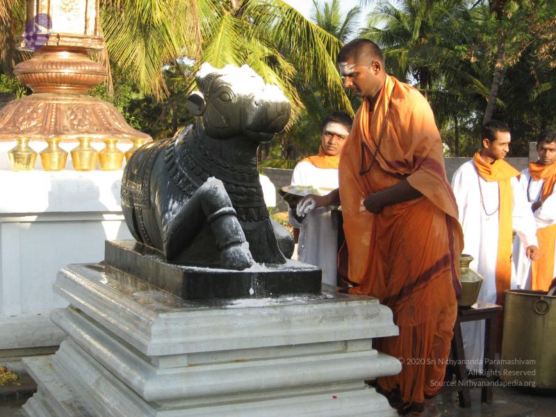 File:20080305 Photo 1056 1QJmv03j01VVcz0HLaR7PGiVMoIGiz-9g.JPG