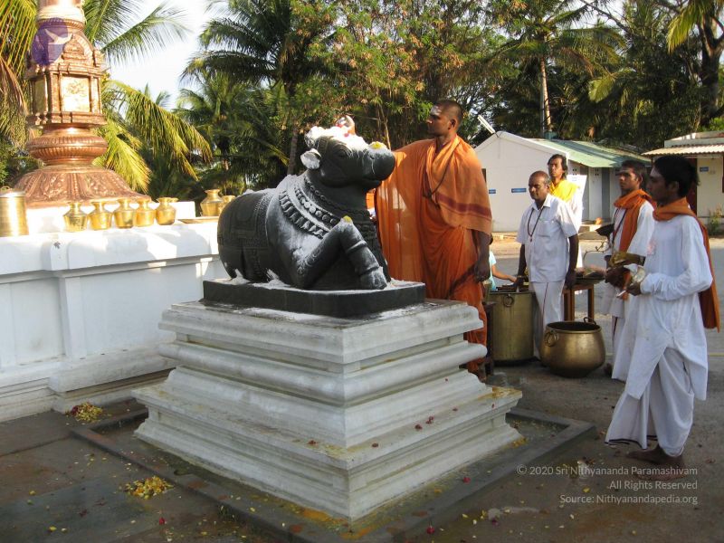 File:20080305 Photo 1060 1iNKQ3bjZTSM7AFZlxHx8suTYCbZYuhRQ.JPG