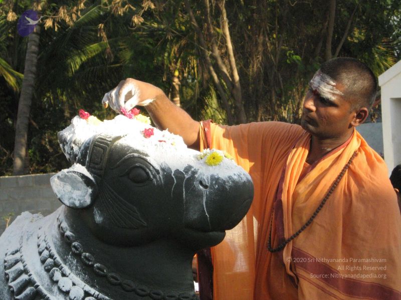 File:20080305 Photo 1061 1PLhIKK9SAhD99tEVB4pticP9JCMmGkZO.JPG