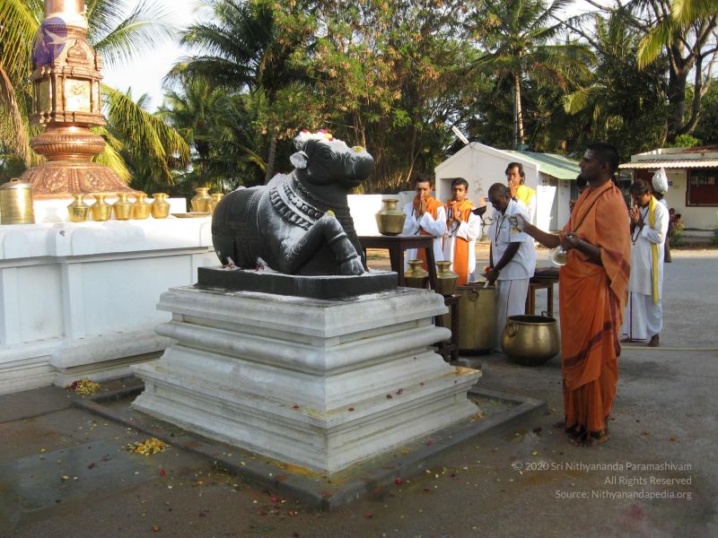 File:20080305 Photo 1062 1IxPehUGJUNXgLxrK2kmi2WtOSaGAGEiz.JPG