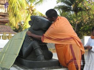 20080305 Photo 1071 1Wu0fAYVM s25-HbzbQCS8mxTbMdbA23f.JPG