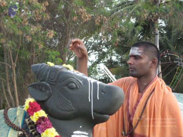 20080305 Photo 1077 11KWfVg2rFqN9RufZSE6p5ABNwyaGFjed.JPG