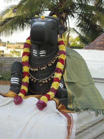 20080305 Photo 1078 1T7jmQmrnUnGSMDHG6H-2pEMzMWA7kUk7.JPG