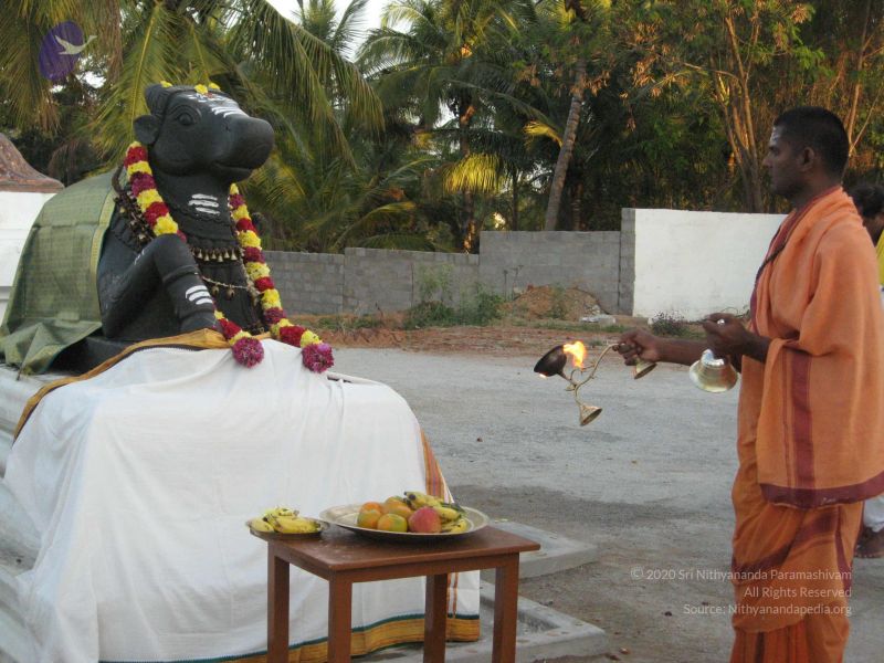 File:20080305 Photo 1082 1Q438091mPwOL-8L8FIxmtAMCFTaiLmF8.JPG