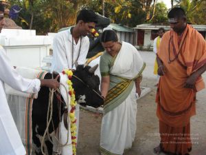 20080305 Photo 1084 1Jj19kOS7N9-HX3 E3C6XwWMMGBAISK-Q.JPG