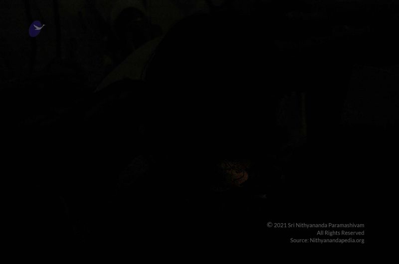 File:20080326 2842.jpg