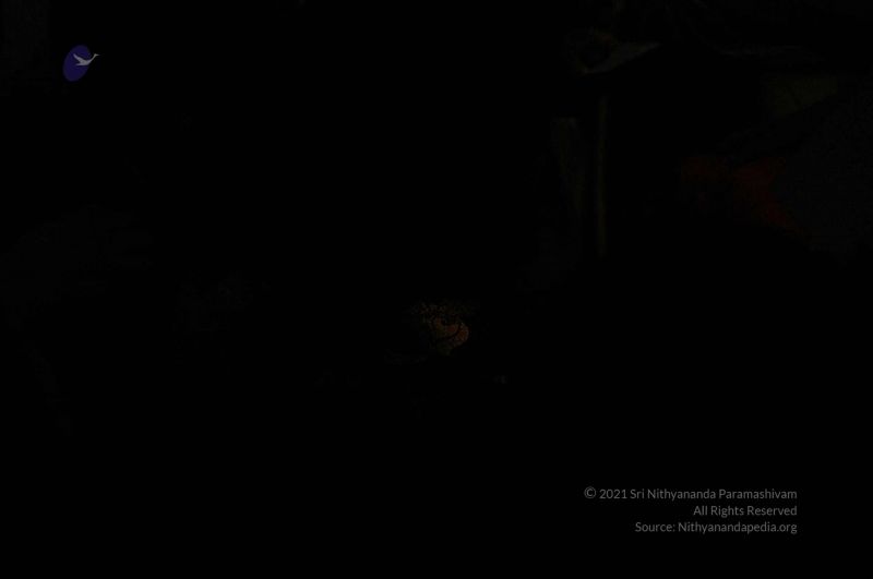 File:20080326 2843.jpg