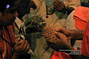 20080326 upd 2832.jpg