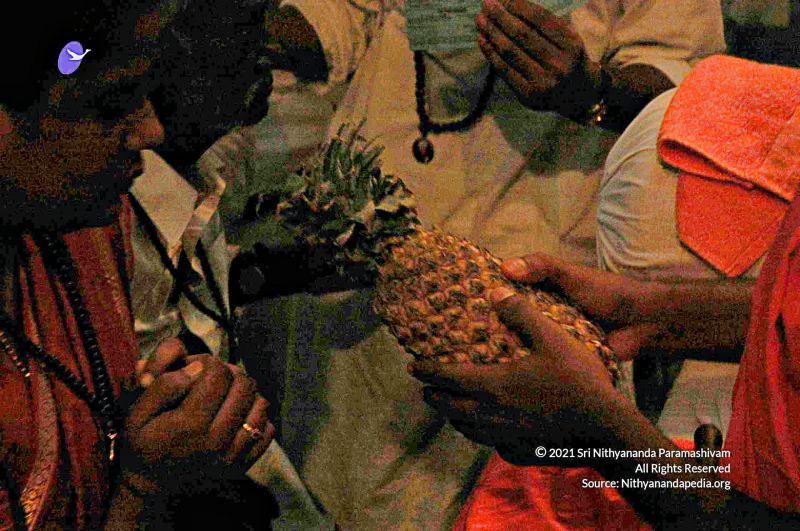 File:20080326 upd 2832.jpg