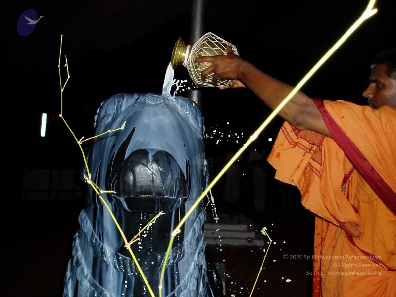 File:20080403 Photo 1017 1bHetjqRRjBPpNWaNVp4UD4GSJU3x2vzl.JPG