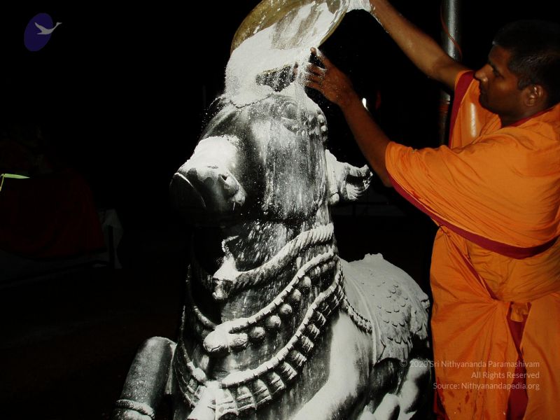 File:20080403 Photo 1027 1CK35G3UROkyH2qk22Ldz0xXLUC3n70Qp.JPG