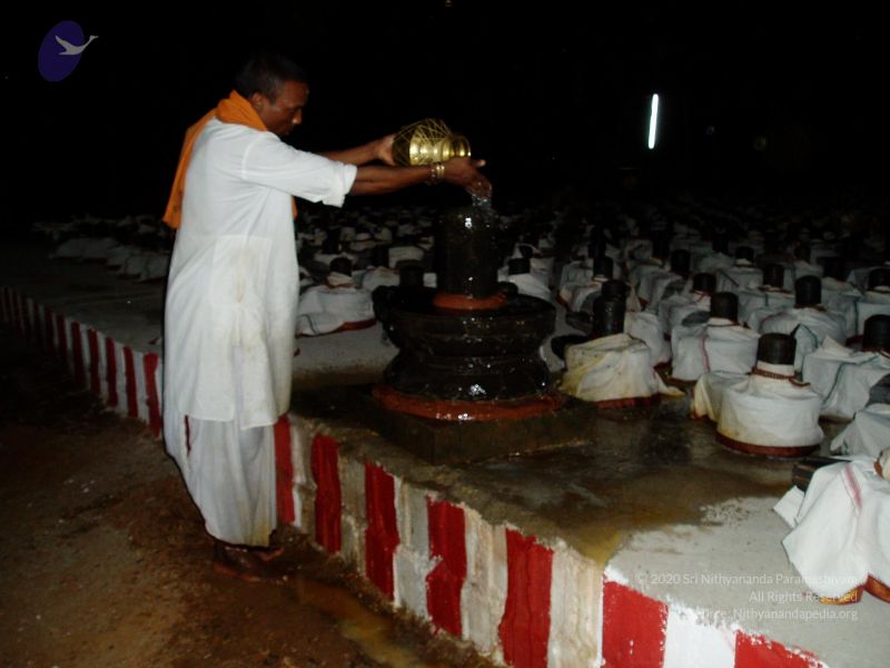File:20080403 Photo 1028 1zXdsSTsDK0HdIAMCiZ3vHND -iXXG1uv.JPG