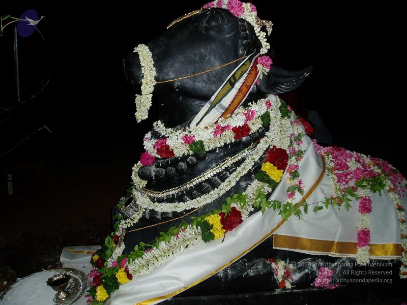 File:20080403 Photo 1037 15zIqpZkNd0bE4bvj8krgJQ2C2et0F6IR.JPG