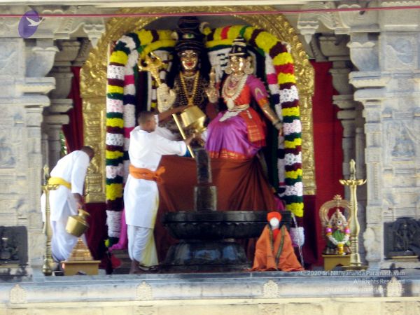 20080407 IMG 1871 CMP WM 0011.jpg