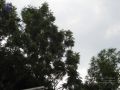 Thumbnail for version as of 20:27, 7 June 2021