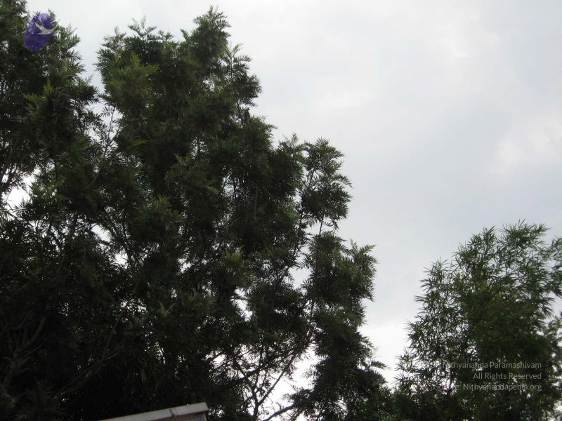 File:20080407 Photo 1040 1ysqiaakqWEA3vMr4WU0rsHAxkuy2R3nB.JPG