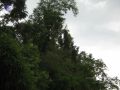 Thumbnail for version as of 20:27, 7 June 2021