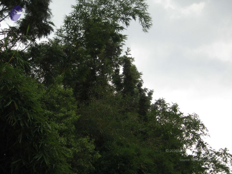 File:20080407 Photo 1041 1hqZh9CXZMaDfiP-o1Qn06xee61XVUFZq.JPG