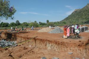 20080410 Tiru 9360.jpg