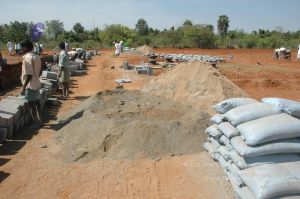 20080410 Tiru 9365.jpg