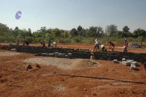 20080410 Tiru 9396.jpg