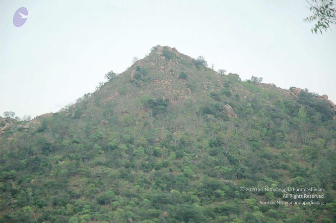 20080415 Photo 158 1tax1NP1G0 5pJZtVHCV6HAMzLe-dlkB6.jpg