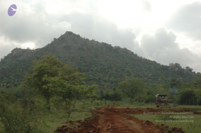 File:20080415 Photo 260 1kWWNazsHgplkYySsYM-cC9TAKGceHvRf.jpg