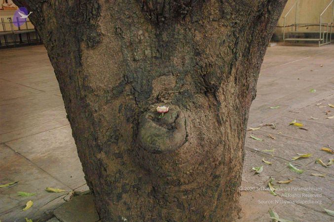 20080415 Photo 662 1lWLCzCzfJJcqM nDxwIe5voKcH76wXtv.jpg