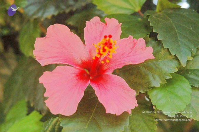 20080415 Photo 92 1PfQECipbiT6Qt8aMj8AeJh60wSAETPms.jpg