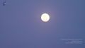 Thumbnail for version as of 17:38, 10 June 2021