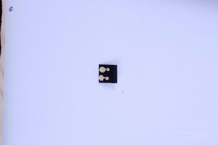 200804 LAEvents 5637.jpg