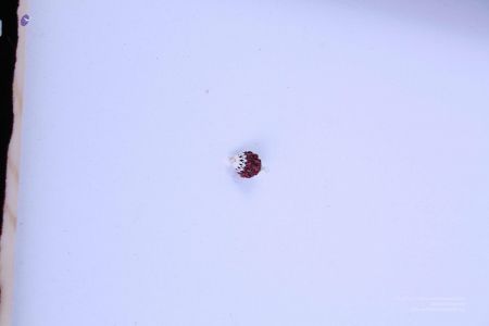 200804 LAEvents 5657.jpg