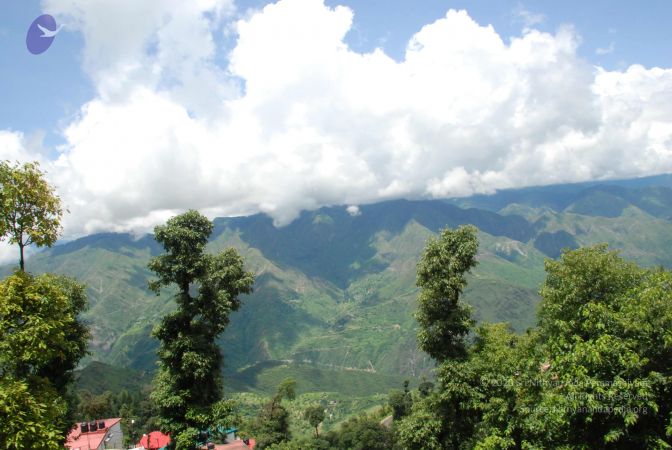 20080629 Photo 1214 1SbifOxXSVVRIYict SmWiKtaPGd6Ky60.JPG