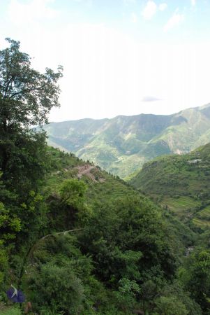 20080629 Photo 1299 1HoC0fLGQKDF3o0vRO9ynpsSaQu7Vprl1.JPG