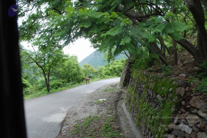 20080629 Photo 1319 1l TsWZ8fyFS5-Hj4ou61kQhWmnVNRnf1.JPG