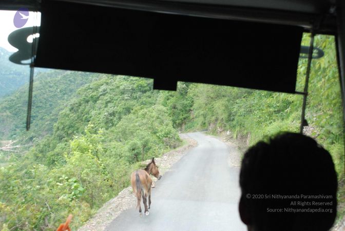 20080629 Photo 1330 1FwecmGDAh5sSsdcR83O8FiHhxl9TSS5V.JPG