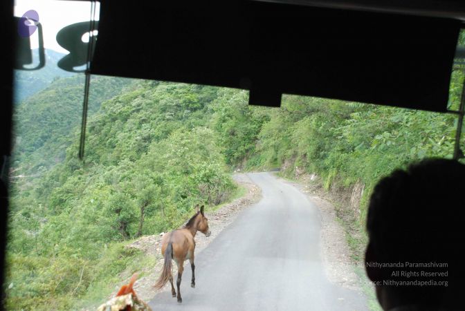 20080629 Photo 1331 1CCCjYz60EM2MwY0k9uXDkKon4QCLic9x.JPG