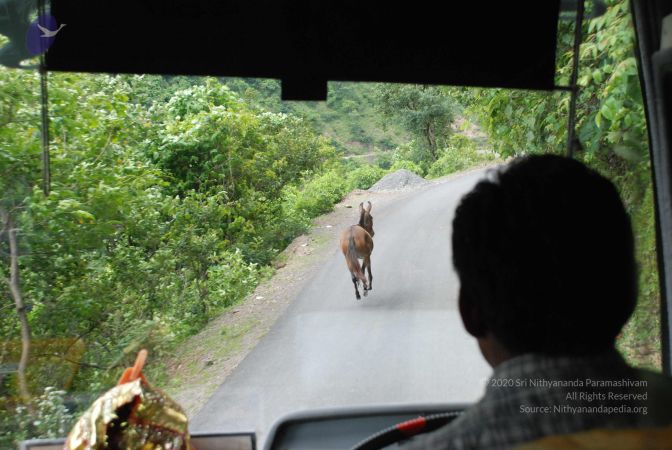 20080629 Photo 1334 1EPhlp7fy6fdrLoSsxLzOF1SP5Xuw2Pvh.JPG