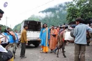 20080630 DSC 0038 CMP WM.jpg