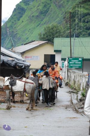 20080630 DSC 0125 CMP WM.jpg