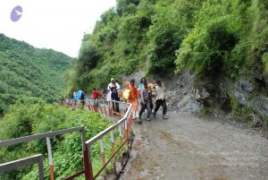 20080630 DSC 0249 CMP WM.jpg