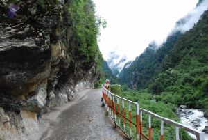 20080630 DSC 0251 CMP WM.jpg