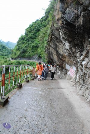 20080630 DSC 0258 CMP WM.jpg