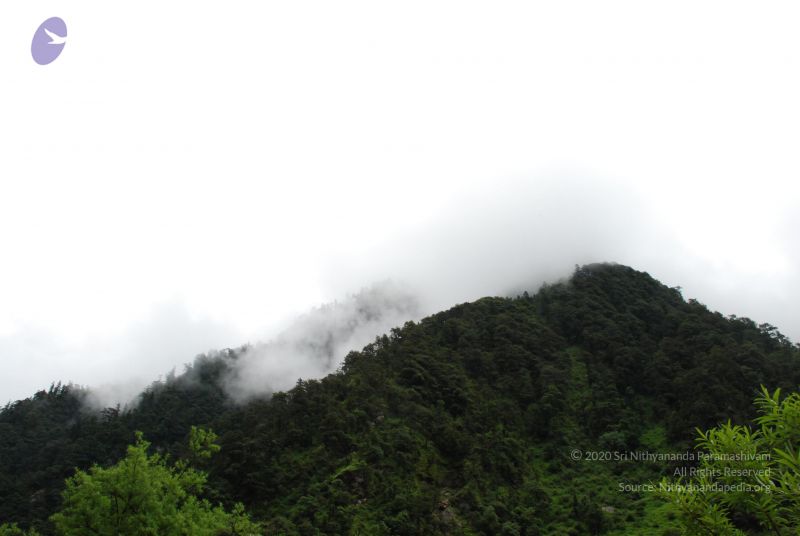 File:20080630 DSC 0269 CMP WM.jpg